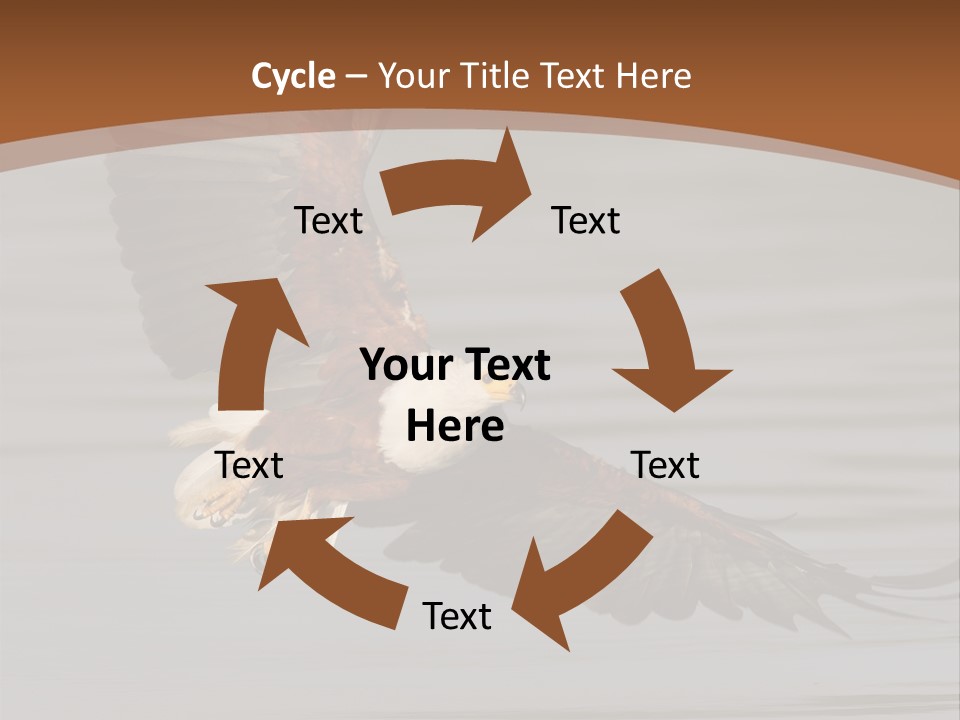 Brown Eagle Beak PowerPoint Template