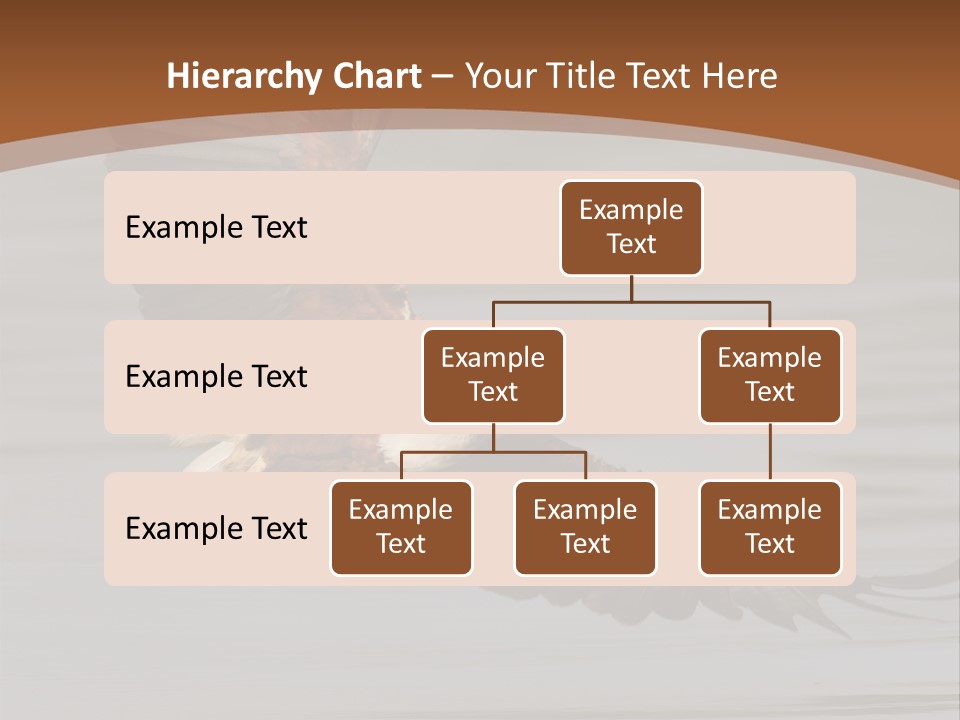 Brown Eagle Beak PowerPoint Template