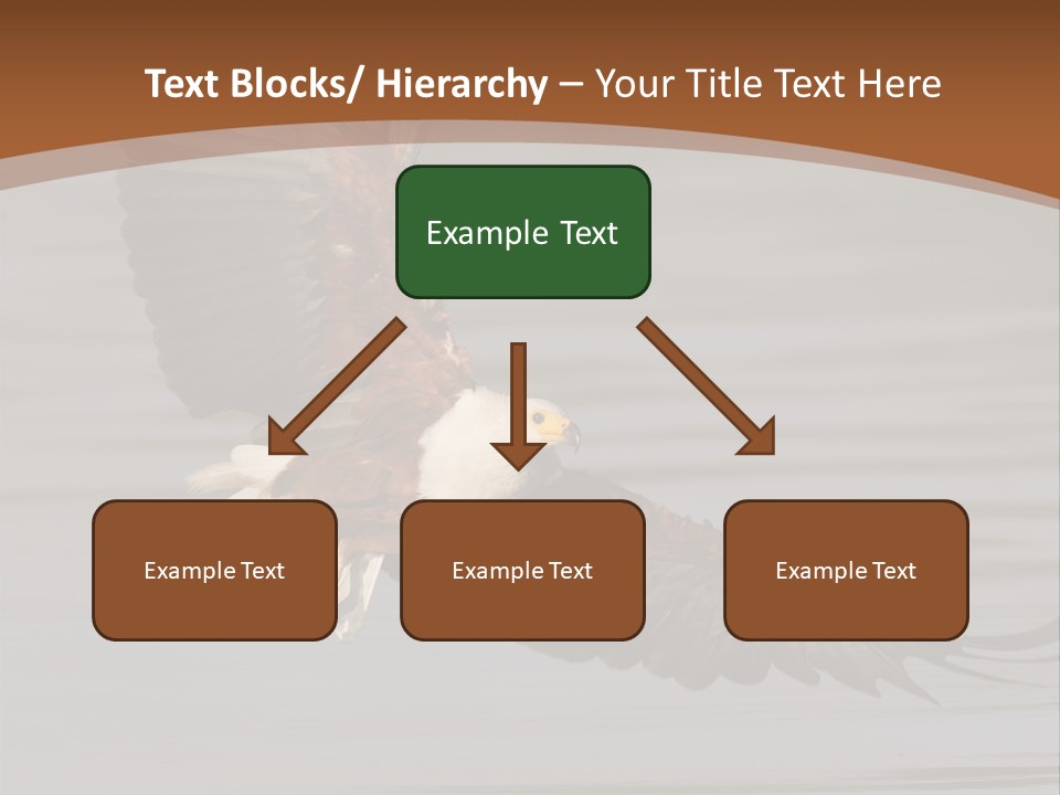Brown Eagle Beak PowerPoint Template