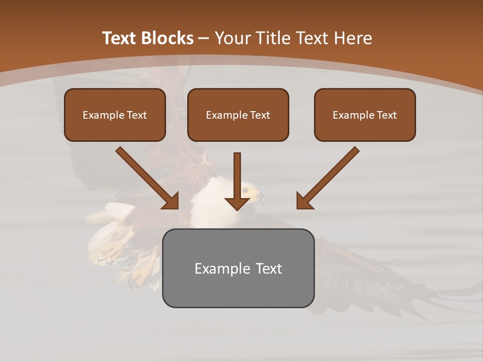 Brown Eagle Beak PowerPoint Template