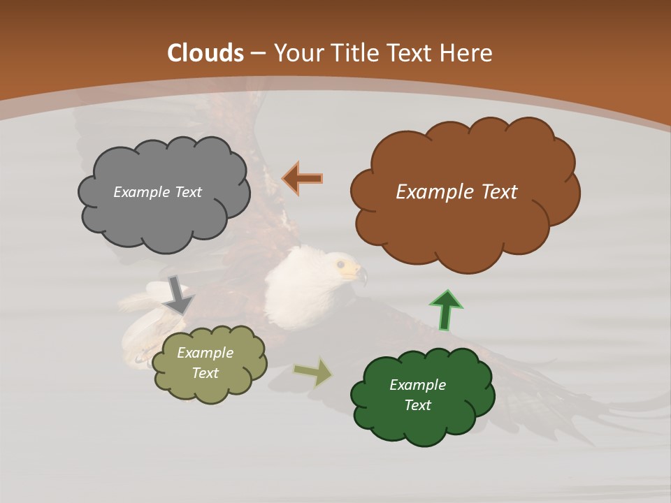 Brown Eagle Beak PowerPoint Template
