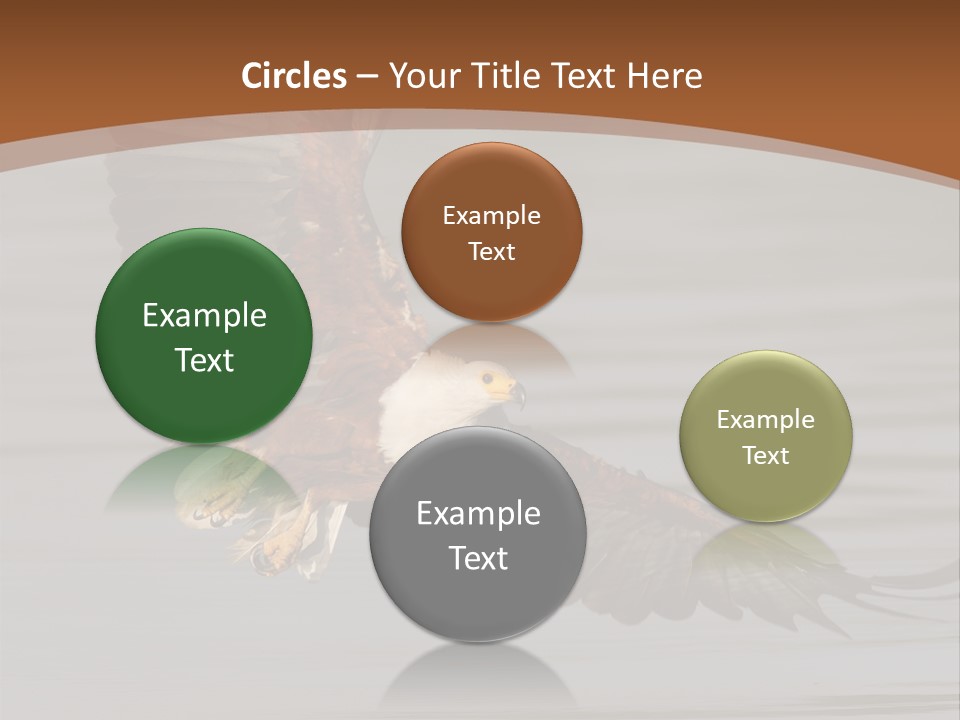 Brown Eagle Beak PowerPoint Template
