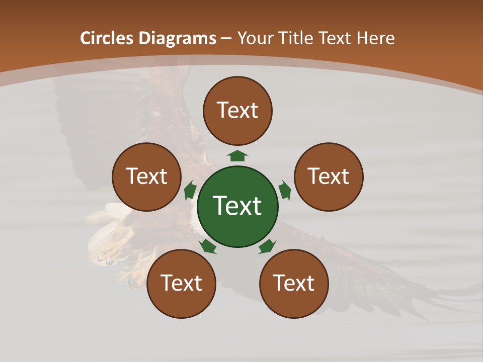 Brown Eagle Beak PowerPoint Template