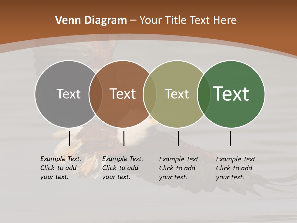 Brown Eagle Beak PowerPoint Template