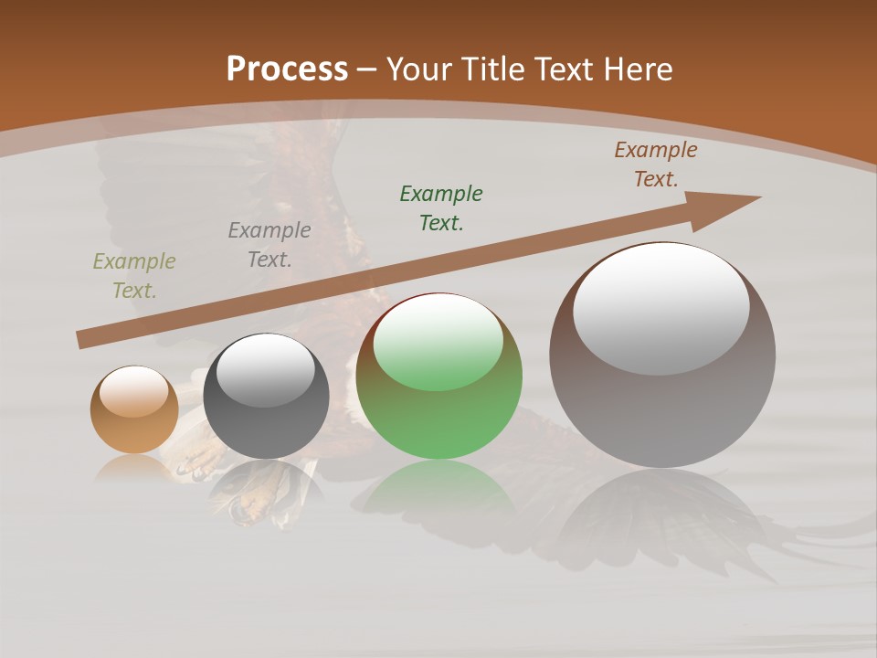 Brown Eagle Beak PowerPoint Template