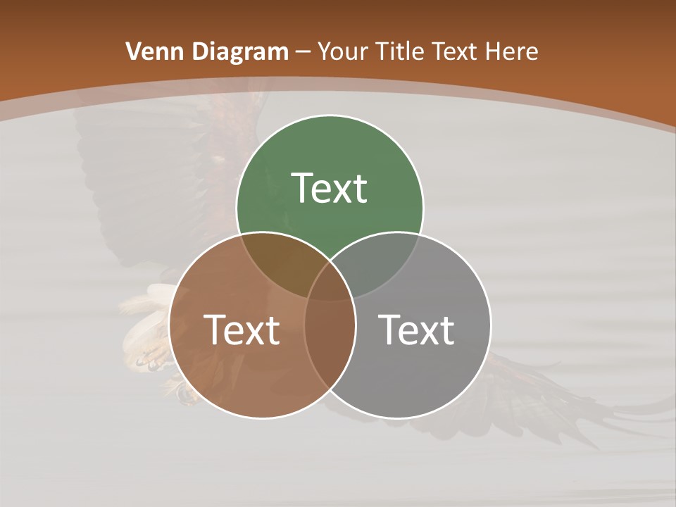 Brown Eagle Beak PowerPoint Template