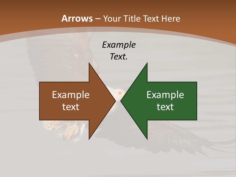 Brown Eagle Beak PowerPoint Template