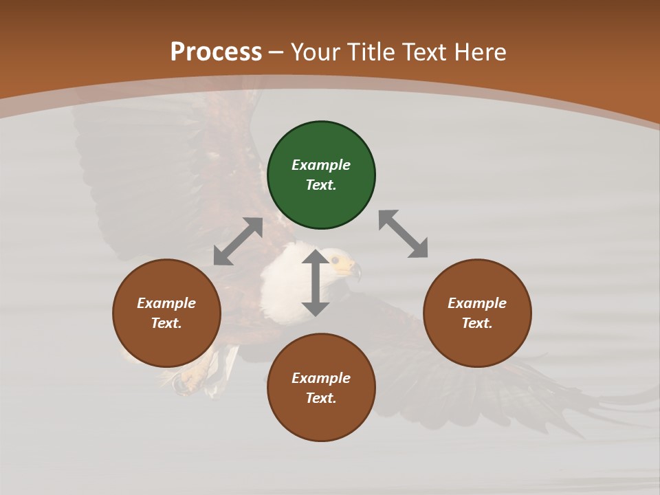 Brown Eagle Beak PowerPoint Template