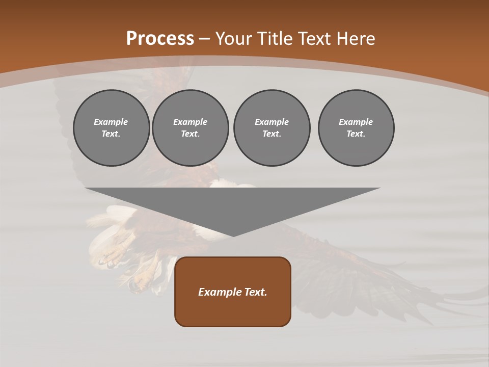 Brown Eagle Beak PowerPoint Template