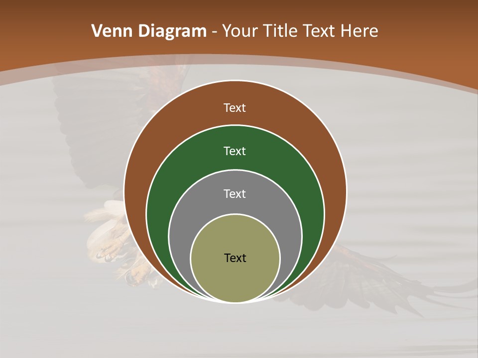 Brown Eagle Beak PowerPoint Template
