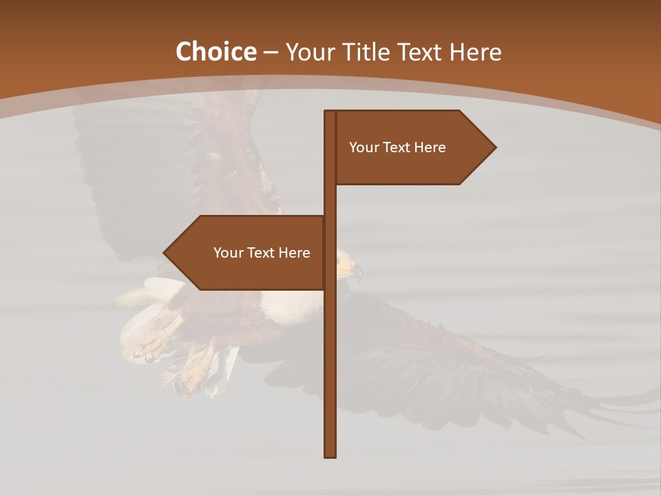 Brown Eagle Beak PowerPoint Template