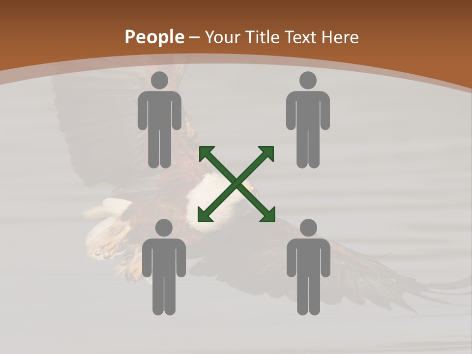 Brown Eagle Beak PowerPoint Template