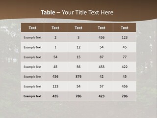 Tent Lake Campground PowerPoint Template