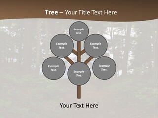 Tent Lake Campground PowerPoint Template