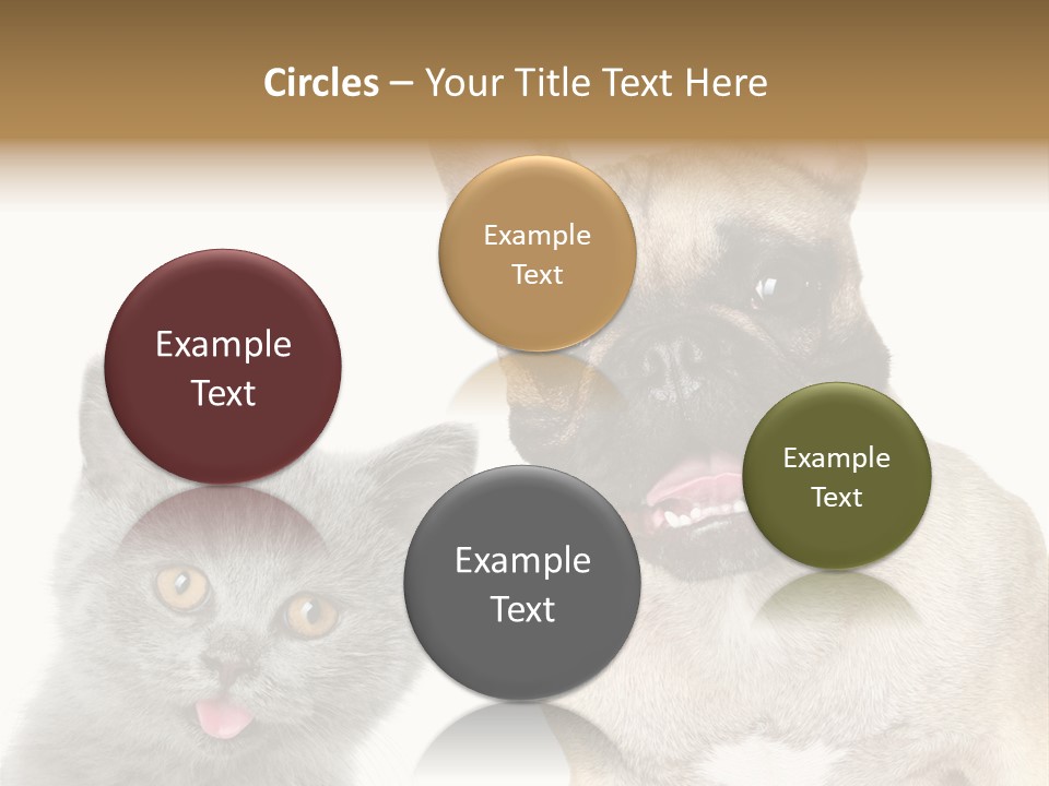 Defender Watching Puppy PowerPoint Template