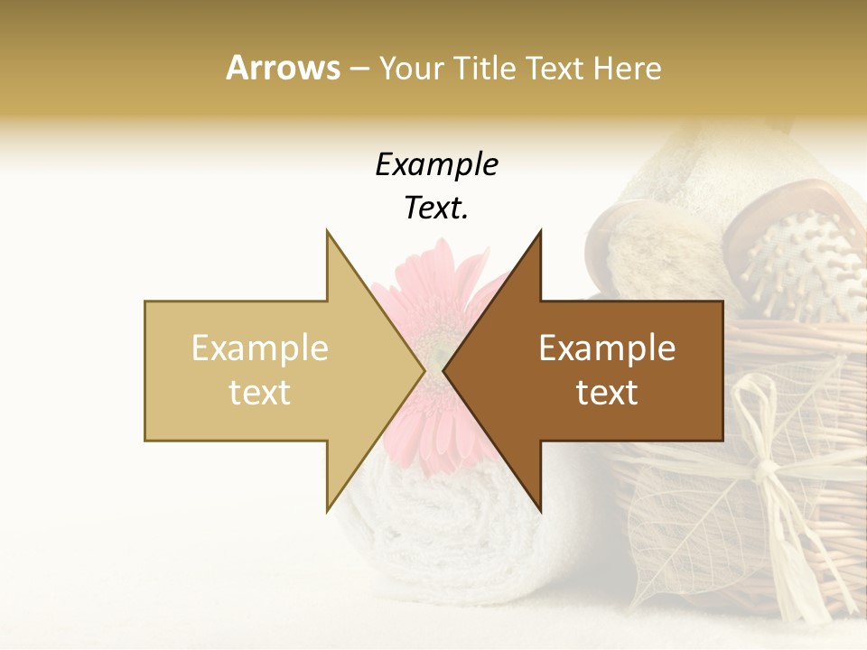 Sauna Healthy Aromatherapy PowerPoint Template