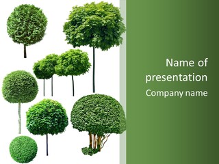 Growth Summer Image PowerPoint Template