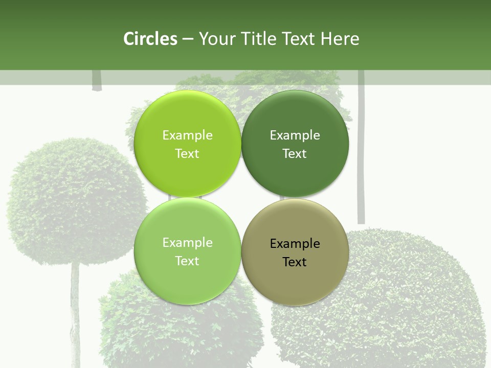 Growth Summer Image PowerPoint Template