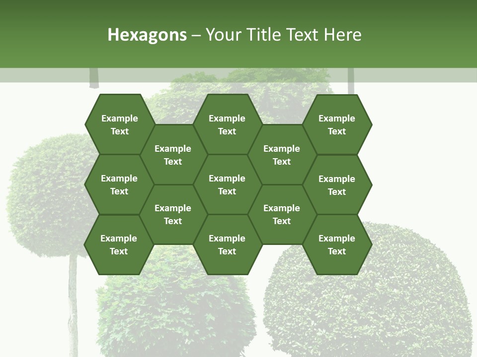 Growth Summer Image PowerPoint Template