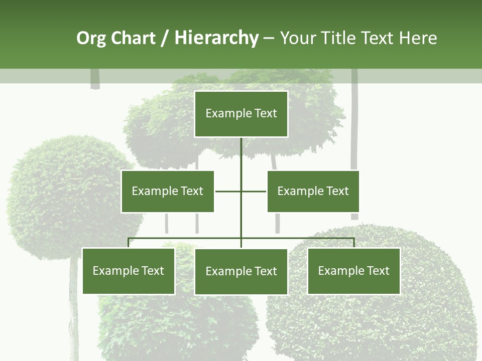 Growth Summer Image PowerPoint Template