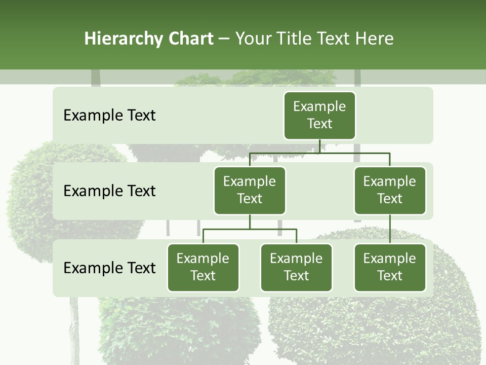 Growth Summer Image PowerPoint Template
