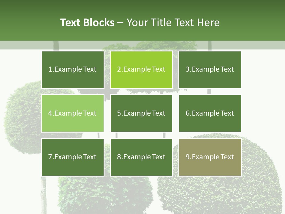 Growth Summer Image PowerPoint Template