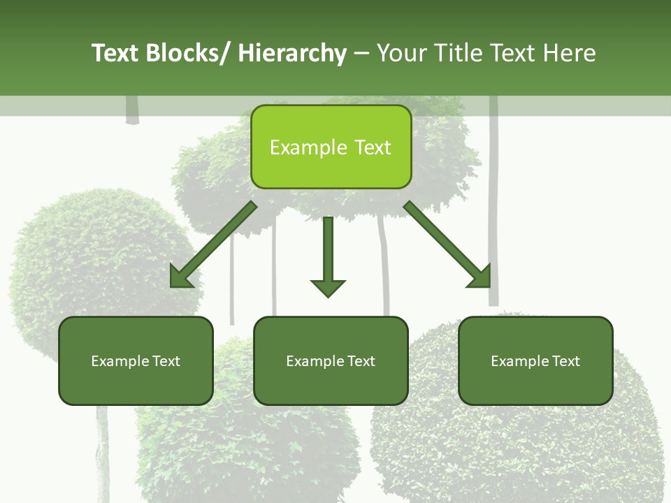 Growth Summer Image PowerPoint Template