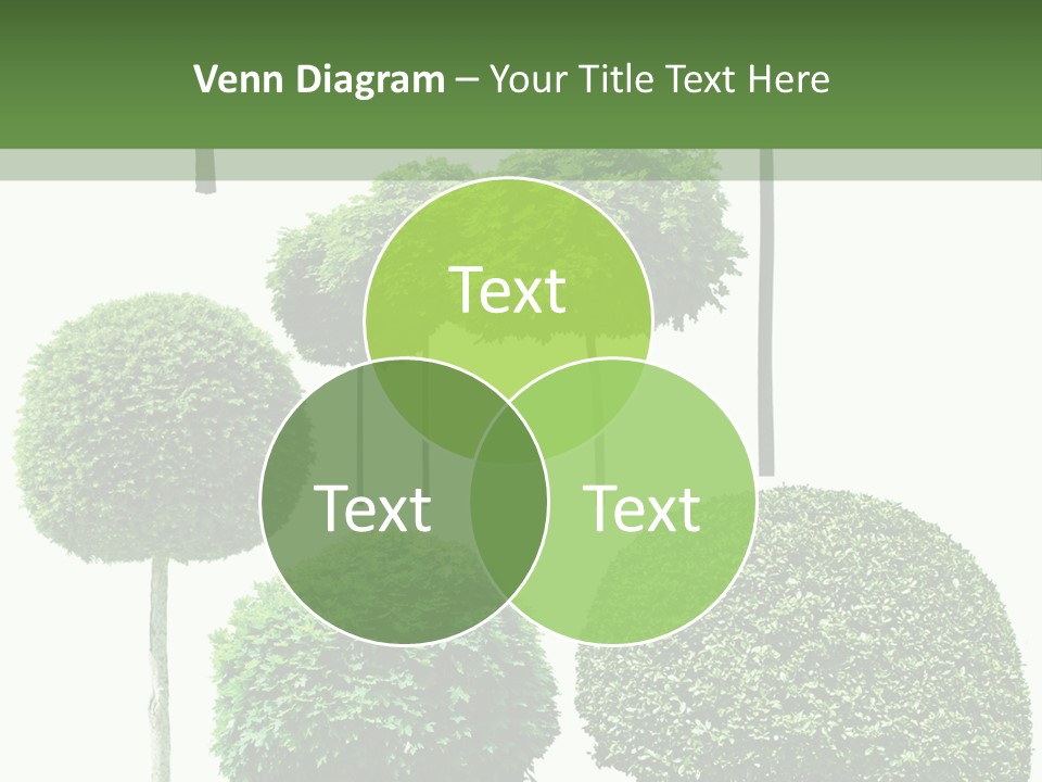 Growth Summer Image PowerPoint Template