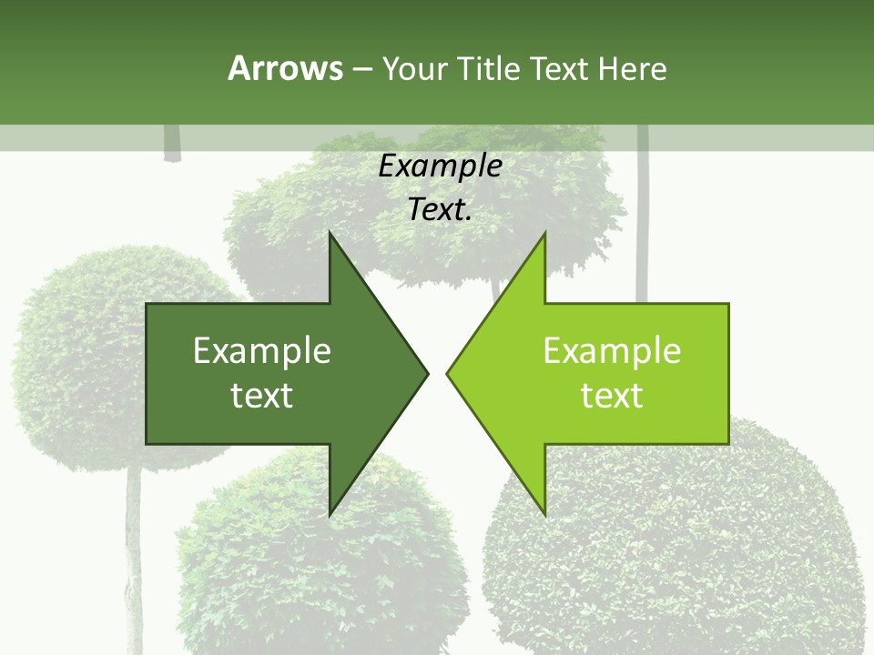 Growth Summer Image PowerPoint Template