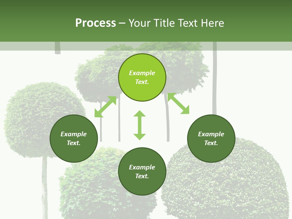 Growth Summer Image PowerPoint Template