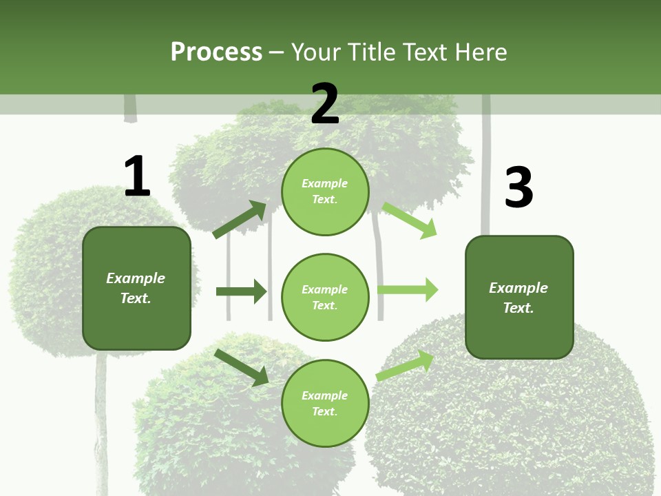 Growth Summer Image PowerPoint Template