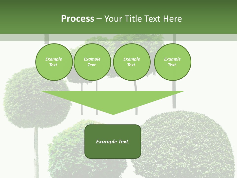 Growth Summer Image PowerPoint Template