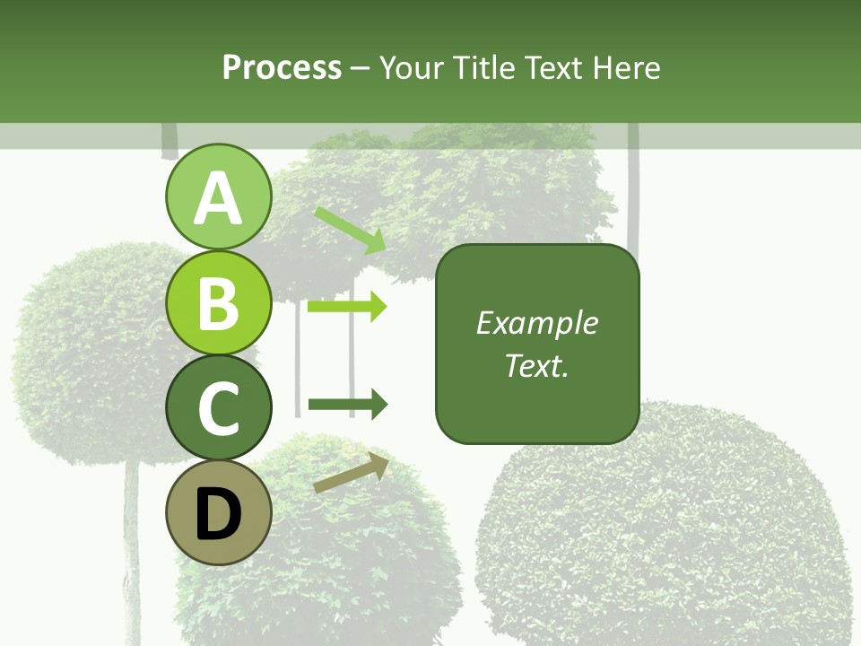 Growth Summer Image PowerPoint Template