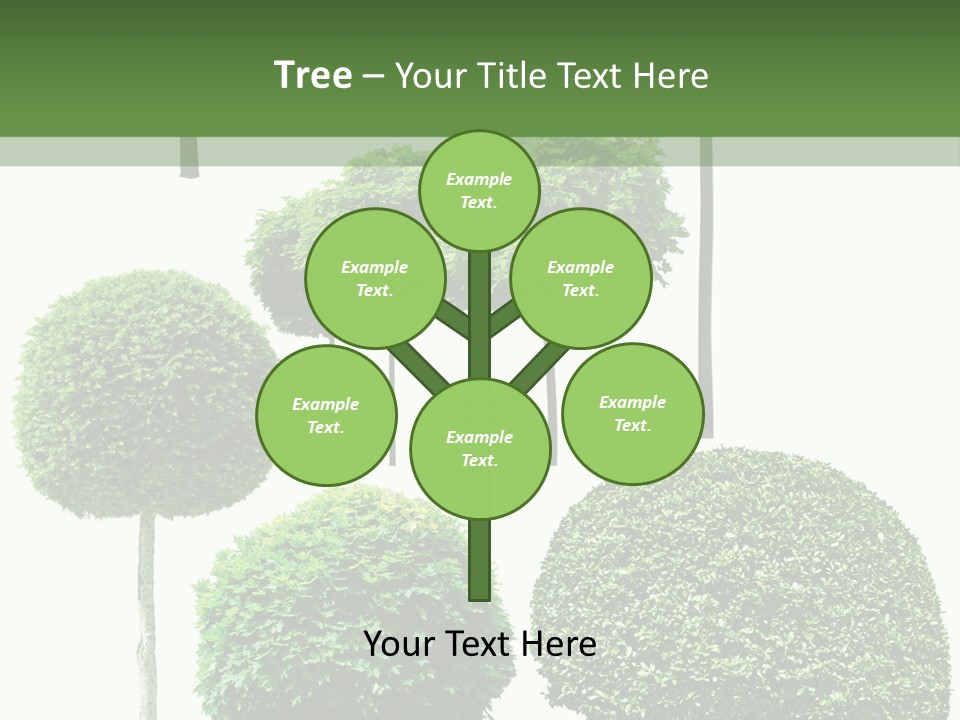 Growth Summer Image PowerPoint Template