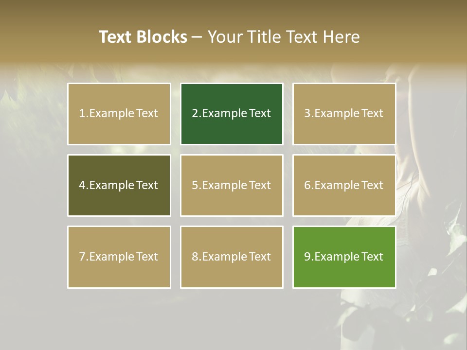 Portrait Looking Fresh PowerPoint Template