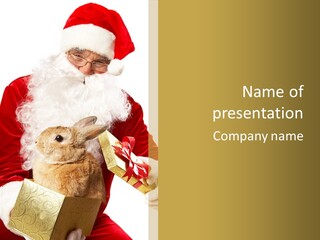 Box Winter Bunny PowerPoint Template