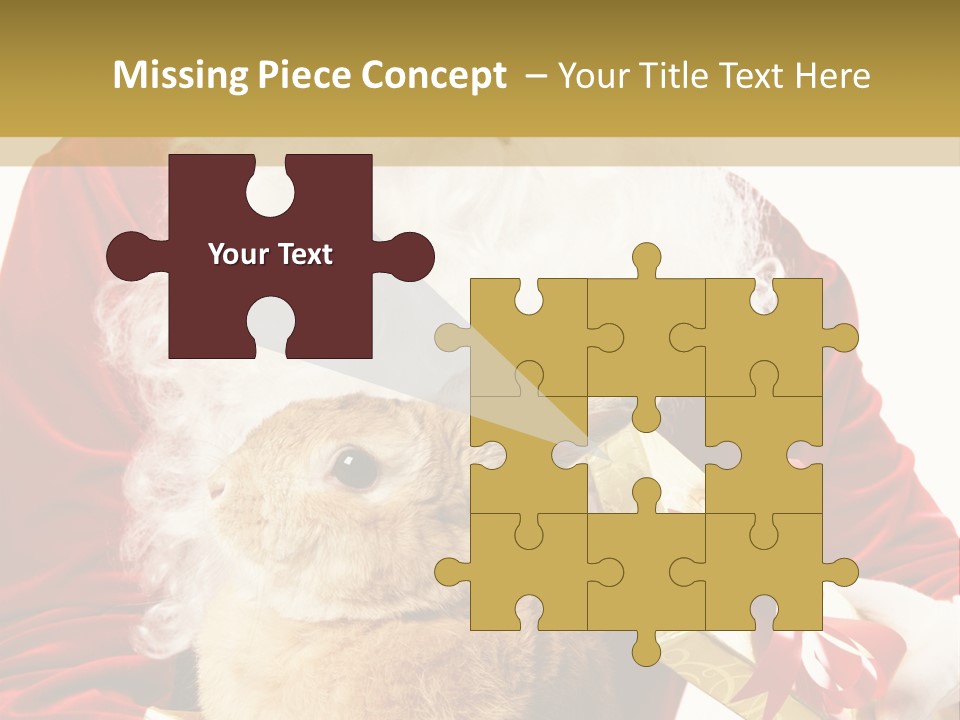 Box Winter Bunny PowerPoint Template