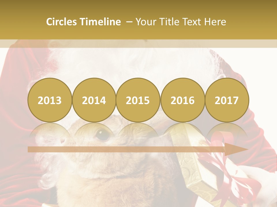 Box Winter Bunny PowerPoint Template