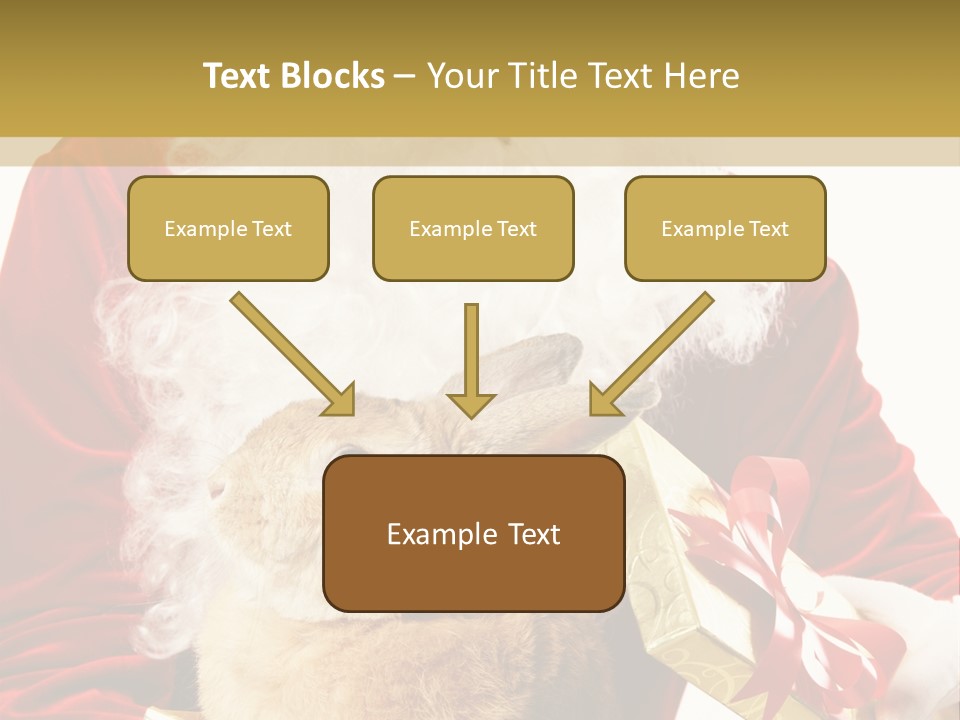 Box Winter Bunny PowerPoint Template