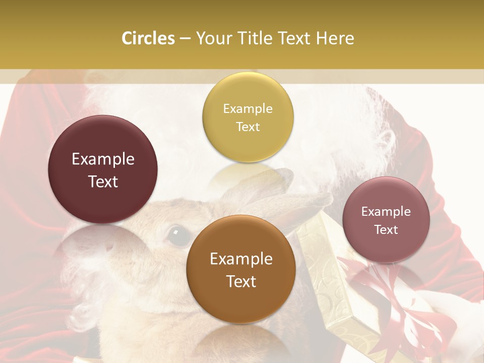 Box Winter Bunny PowerPoint Template