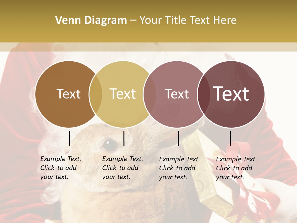 Box Winter Bunny PowerPoint Template