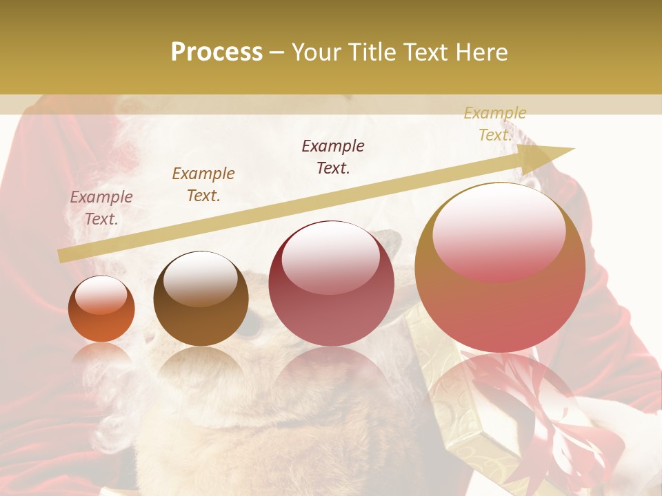 Box Winter Bunny PowerPoint Template