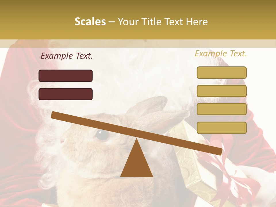 Box Winter Bunny PowerPoint Template