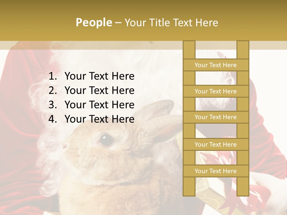 Box Winter Bunny PowerPoint Template