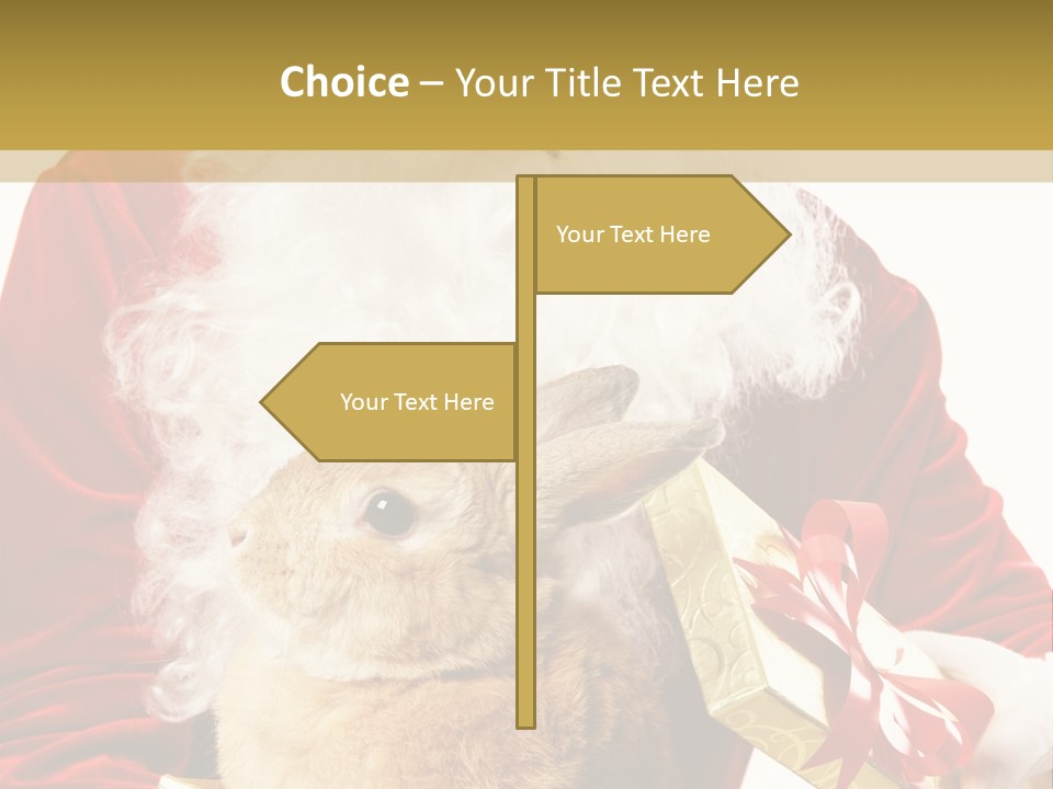 Box Winter Bunny PowerPoint Template