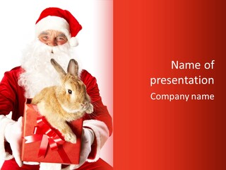 Mammal Occasion Holding PowerPoint Template