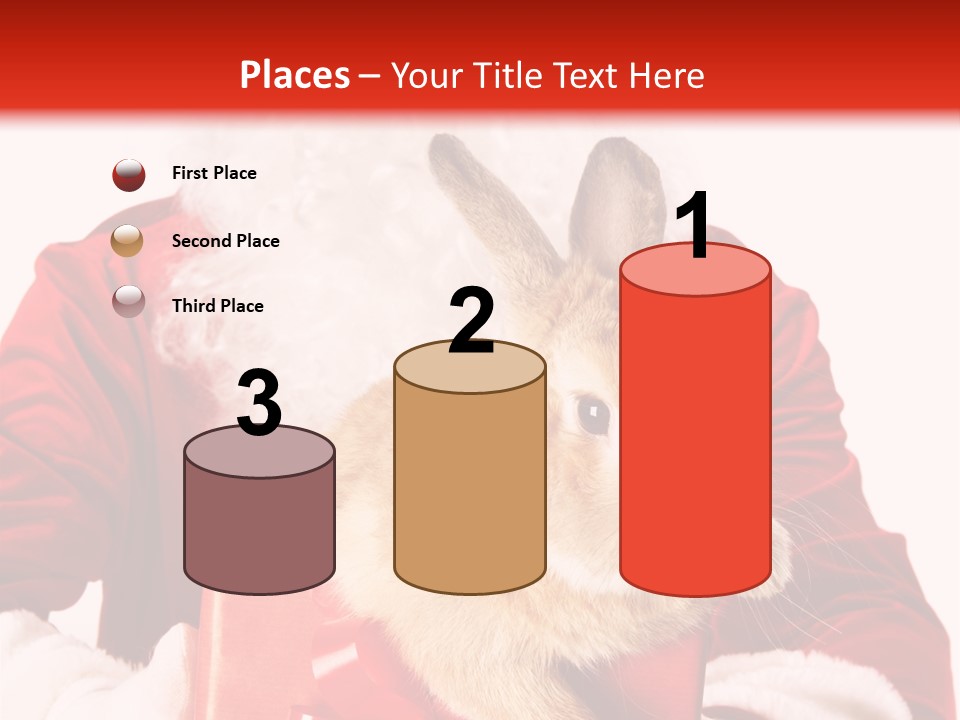 Mammal Occasion Holding PowerPoint Template