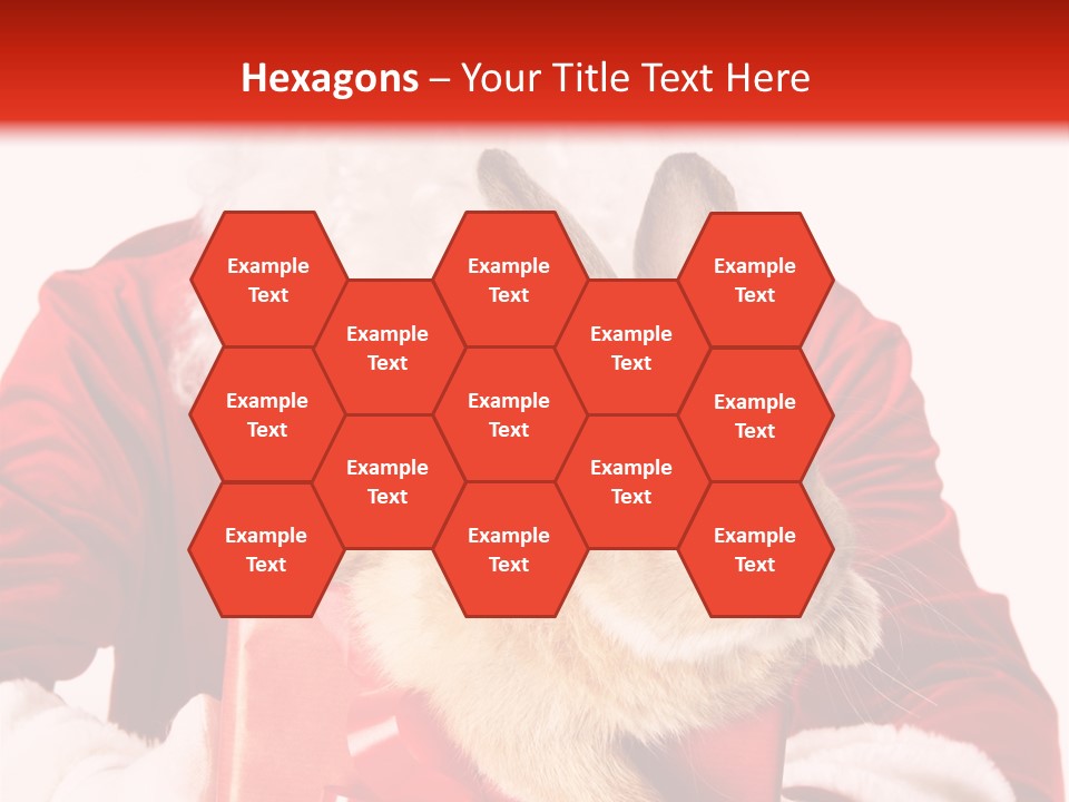 Mammal Occasion Holding PowerPoint Template