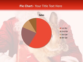 Mammal Occasion Holding PowerPoint Template