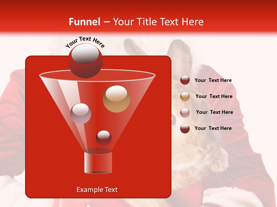 Mammal Occasion Holding PowerPoint Template